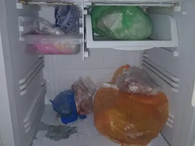 PEL Refrigrator - photo 2