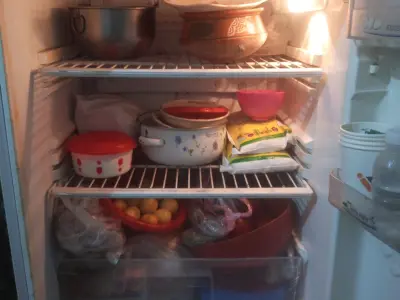PEL Refrigrator - photo 3
