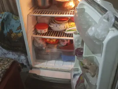 PEL Refrigrator - photo 4