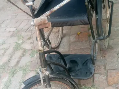 Tricycle for Disables  - photo 3