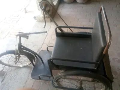 Tricycle for Disables  - photo 4