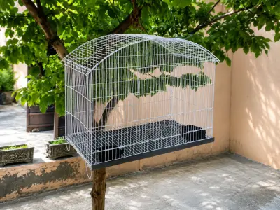 Parrot Cage / Bird Cage for Sale. - photo 1