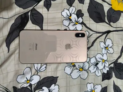 iPhone Xs Max 256GB - photo 1