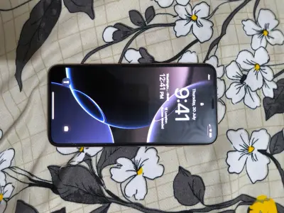 iPhone Xs Max 256GB - photo 4