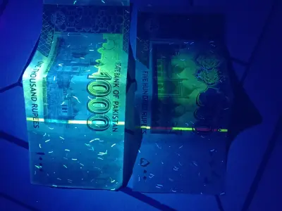 UV Detective Light - photo 2