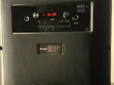 Brodu BTS-1740 Professional Karaoke Box - 8 Inch Speaker (2 Mics - photo 4