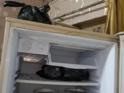 Pel refrigerator - photo 2