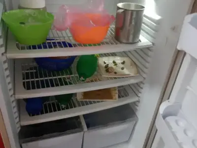 Pel refrigerator - photo 3