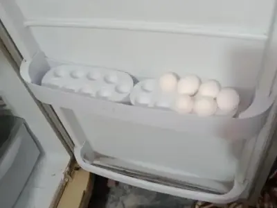 Pel refrigerator - photo 4