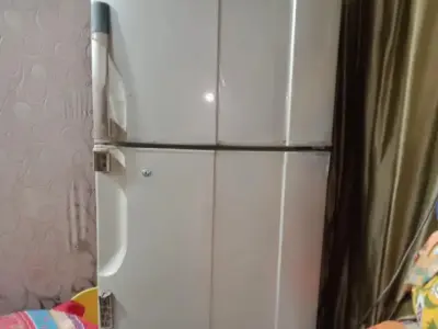 Pel refrigerator - photo 5