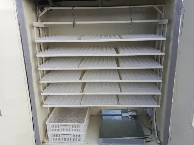 Automatic Egg Incubators  - photo 2