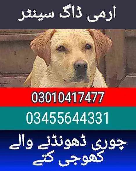 Army Dog Center Pakistan