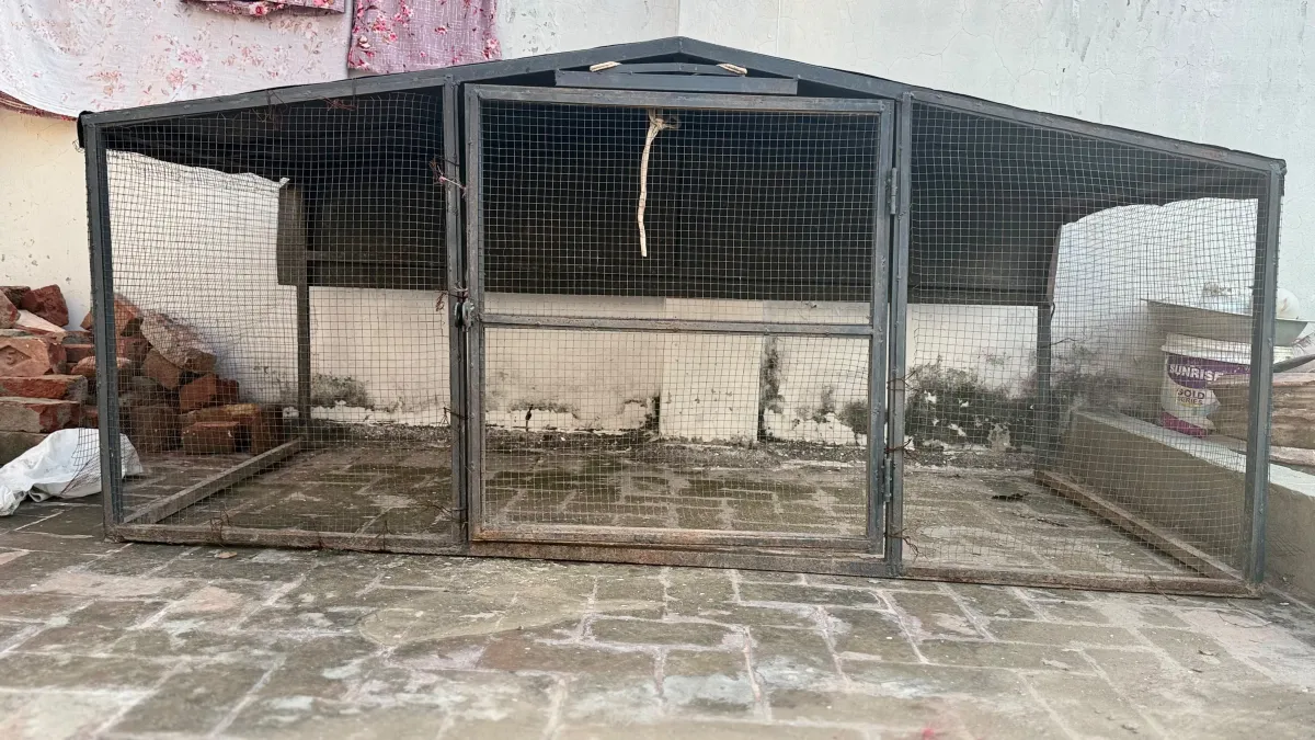 Large Bird Cage 6.5 by 2.8 Feet, Lahore