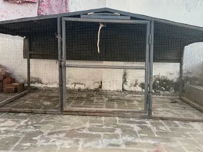 Large Pinjra for Sale | Good Condition | Rs. 30,000 - photo 1
