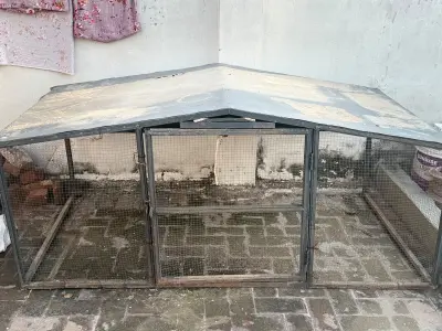 Large Pinjra for Sale | Good Condition | Rs. 30,000 - photo 5