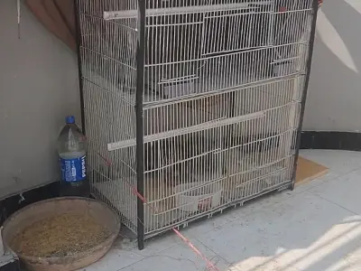 Two Heavy Metal Bird Cages, Karachi - photo 1