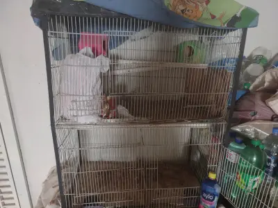Two Heavy Metal Bird Cages, Karachi - photo 4