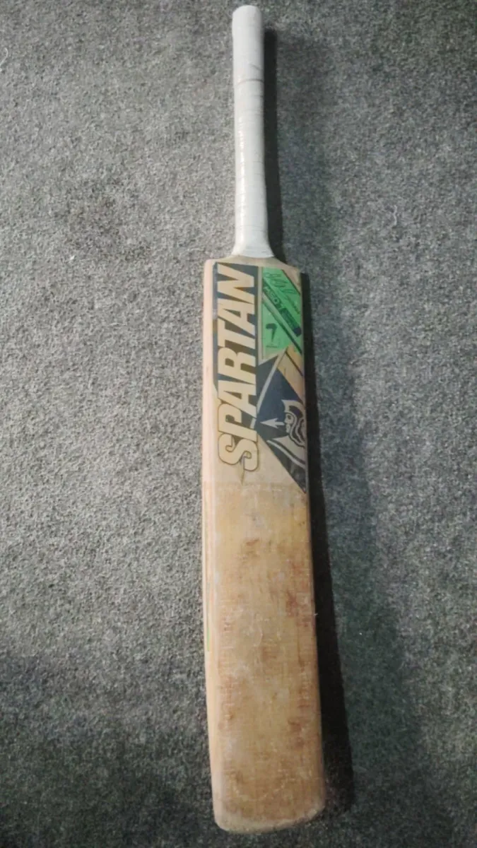 Hard ball cricket bat