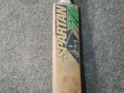 Hard ball cricket bat - photo 1