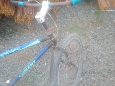 Used Bicycle in Good Condition - photo 1