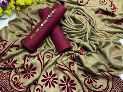 Brosha 3D velvet Pashmina shawl with dhanak shirt and trouser - photo 5