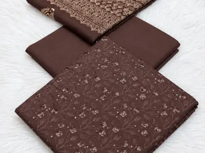 Bareez Dhanak 3 PC Unstitched winter collection - photo 2