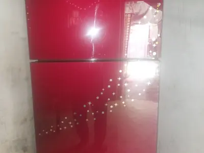PEL 14-Cubic-Foot Glass-Door Refrigerator - photo 1