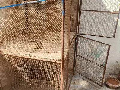Cage for pets - photo 4