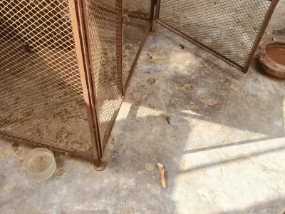 Cage for pets - photo 5