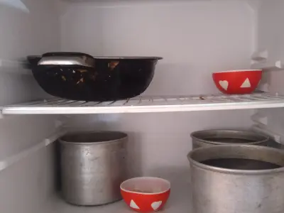 Sell Fridge - photo 1