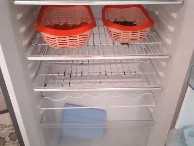 Sell Fridge - photo 2