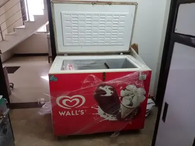 Walls Greener Refrigerator - photo 3