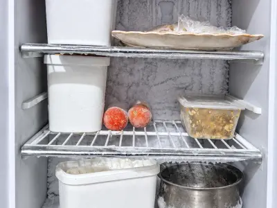Used Refrigerator for Sale in Lahore | Fridge with Freezer - photo 5