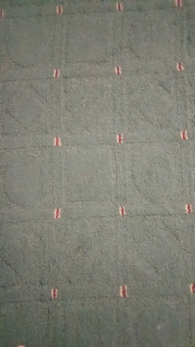 Two-Piece Carpet Set – Good Condition