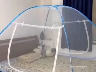 Mosquito net - photo 1
