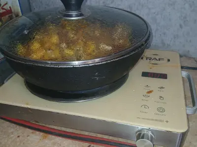 RAF Electric Chulha For Sale - photo 3