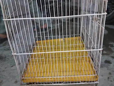 Peigon cages - photo 2