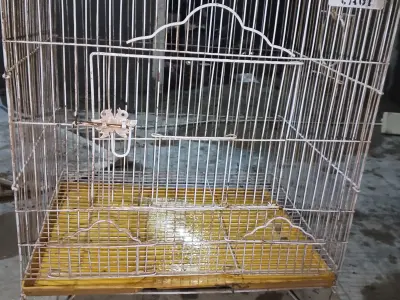 Peigon cages - photo 5