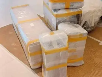 Mover & Packer - House Shifting - Cargo service - Goods Tranportation - photo 5