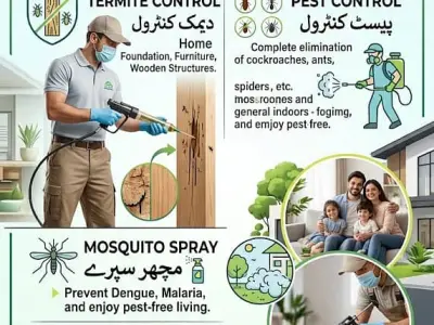 termites, which will be sent to your realtor as part of your real est - photo 4