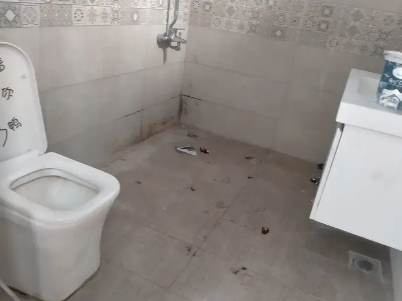 1 kanal in front of F10 markaz house available for rent.
